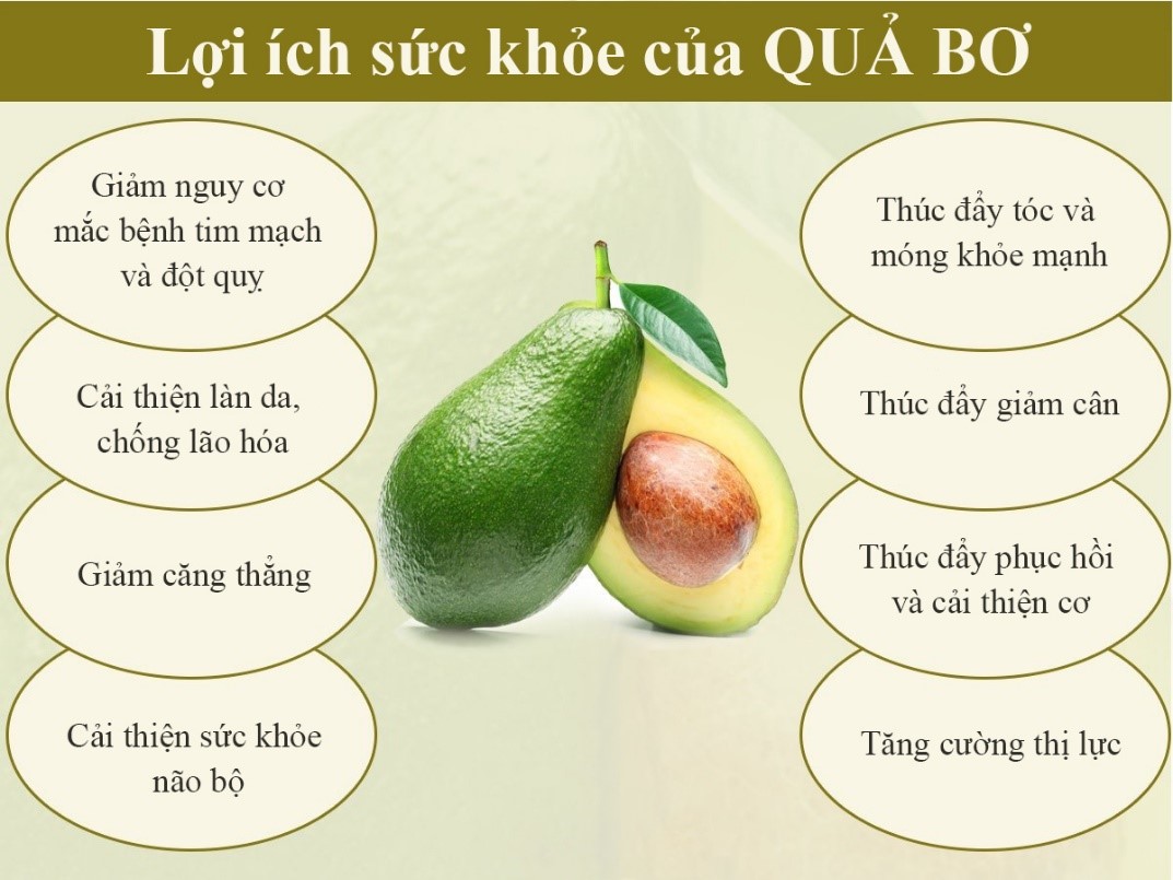 Lý do bơ có thể giúp giảm cân? Các món ăn từ bơ giúp giảm cân